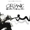 Download track Organic Bansuri (Radio Edit)