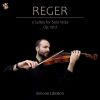 Download track Suites For Solo Viola, Op. 131d No. 3 In E Minor I. Moderato