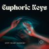 Download track Keys In Harmony