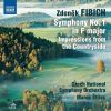 Download track 01. Symphony No. 1 In F Major, Op. 17- I. Allegro Moderato