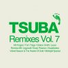 Download track Hide (Delano Smith Mix) [Tsuba]