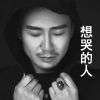 Download track 想哭的人 (伴奏)