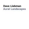 Download track Aural Landscape 3