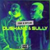 Download track DUSHANE & SULLY