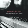 Download track The Shadow Of Your Smile