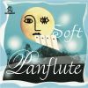 Download track Panflute (Bonus Track From Latitud Zero)