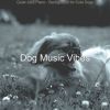 Download track Peaceful Ambiance For Reducing Dog Stress