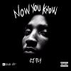 Download track Now You Know