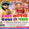 Download track Tani Dhire Bola Raja Ji