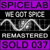 Download track We Got Spice (Spicelab Full Flavour Mix)