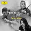 Download track Piano Trio No. 2 In E Minor, Op. 67: II. Allegro Con Brio