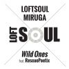 Download track Wild Ones (Dub)