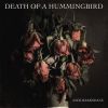 Download track Death Of A Hummingbird