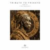 Download track Tribute To Frikkyo (Alex Fixman Remix)