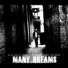 Download track Many Dreams