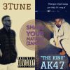 Download track Shake Your Matako (Zanku)