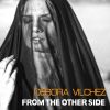 Download track From The Other Side (Orchestral Vibe Vocal Mix)