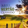 Download track Luar Do Sertao