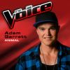 Download track Animal (The Voice 2013 Performance)