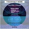 Download track The Effect 2038 (Zioo Remix)