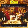 Download track String Quintet C Minor KV 406 Menuetto In Canone - Trio In Canone Al Rovescio - Menuetto