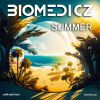 Download track Summer (Extended Mix)