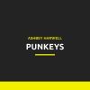 Download track Punkeys