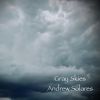 Download track Gray Skies