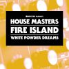 Download track White Powder Dreams (The Hot 'N' Spycy Dub)