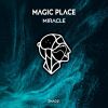 Download track Miracle