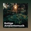Download track Tief Beruhigende Melodie Der Natur Und Des Klaviers