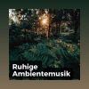 Download track Vogelsang In Einem Beruhigenden Ambiente