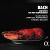 Download track Concerto In C Minor, BWV 1062 - II Andante E Piano