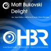 Download track Delight (Arctic Moon Remix)