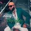 Download track Evening Breeze