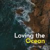 Download track Beauty Of The Ocean's Tide