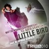 Download track Little Bird (DJ Spinna Remix)