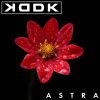 Download track ASTRA