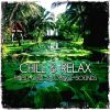 Download track Bella Vita - City Of Owls Mix