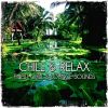 Download track Magic And Spirit - Chill In The Club Mix