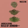 Download track Rose Of Jericho (Parissior Remix)