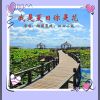 Download track 我是夏日你是花 (对唱版)