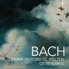 Download track Mass In G Minor, BWV 235: IV. Domine Fili (Live)