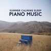 Download track Calming Piano Song (Lullaby)