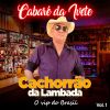 Download track Velho Chifrudo