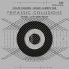 Download track Trifassic Collisions (Original Stick)