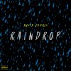 Download track Raindrop