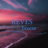 Download track Breeze