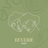 Download track Infinite Reverie