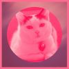 Download track Vintage Ambiance For Home With Cats